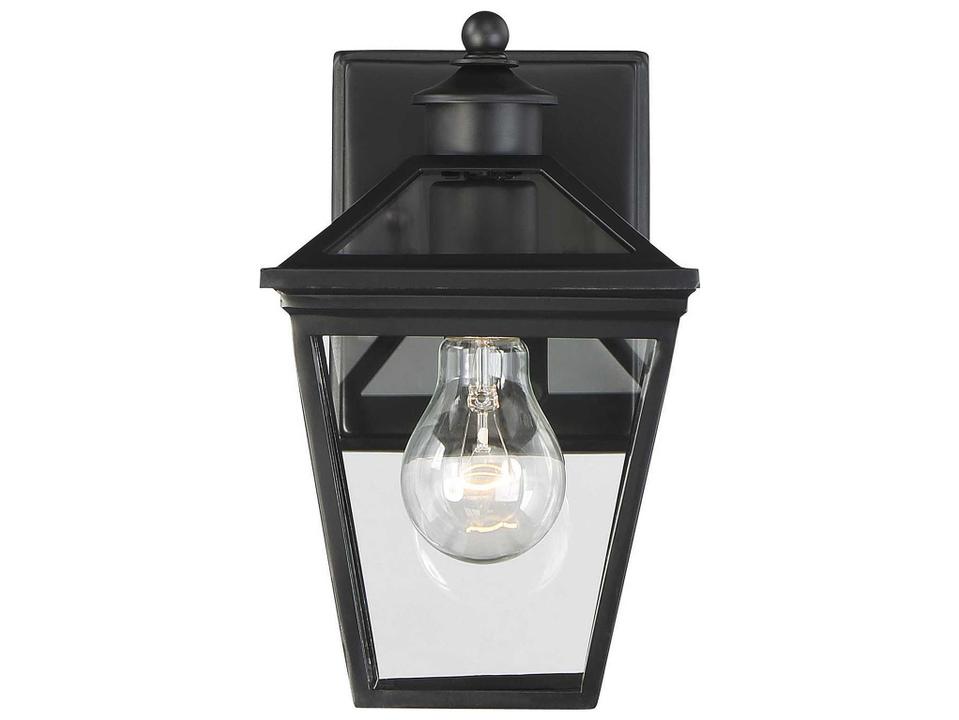 Ellijay 1-Light Outdoor Wall Lantern in Black