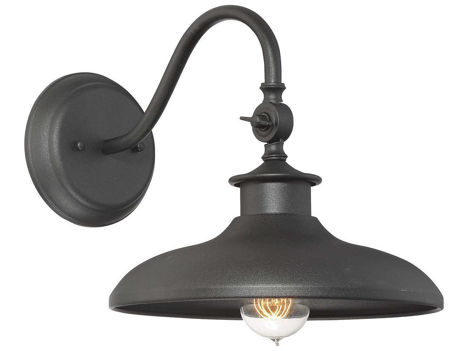 Raleigh 1-Light Outdoor Wall Lantern in Black