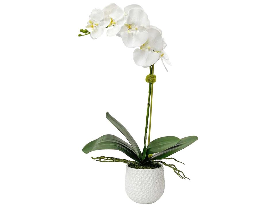 Cami Orchid