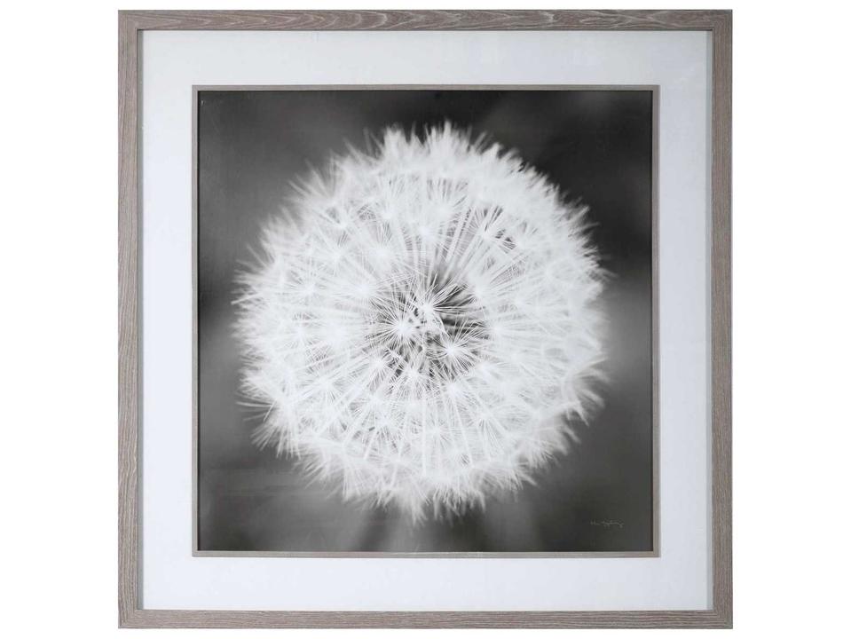 Dandelion Seedhead