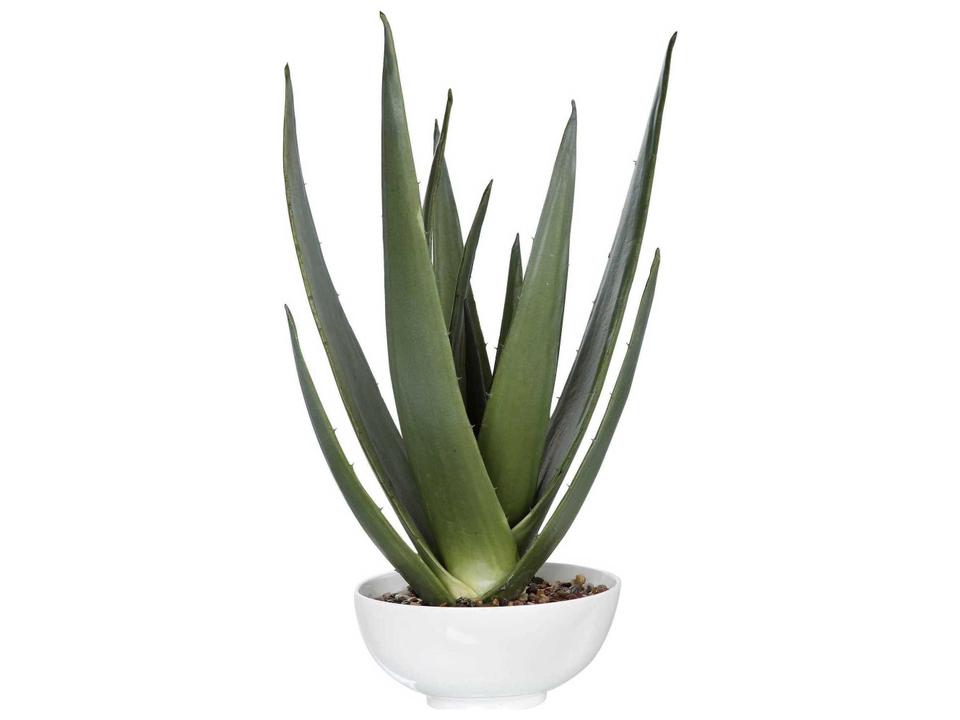 Evarado