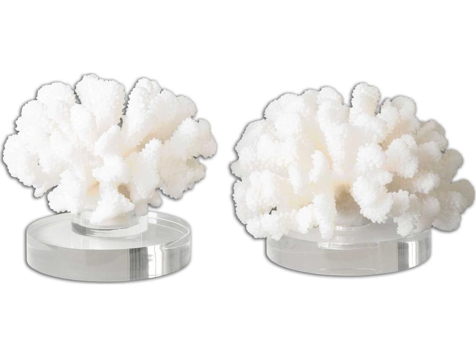 Hard Coral