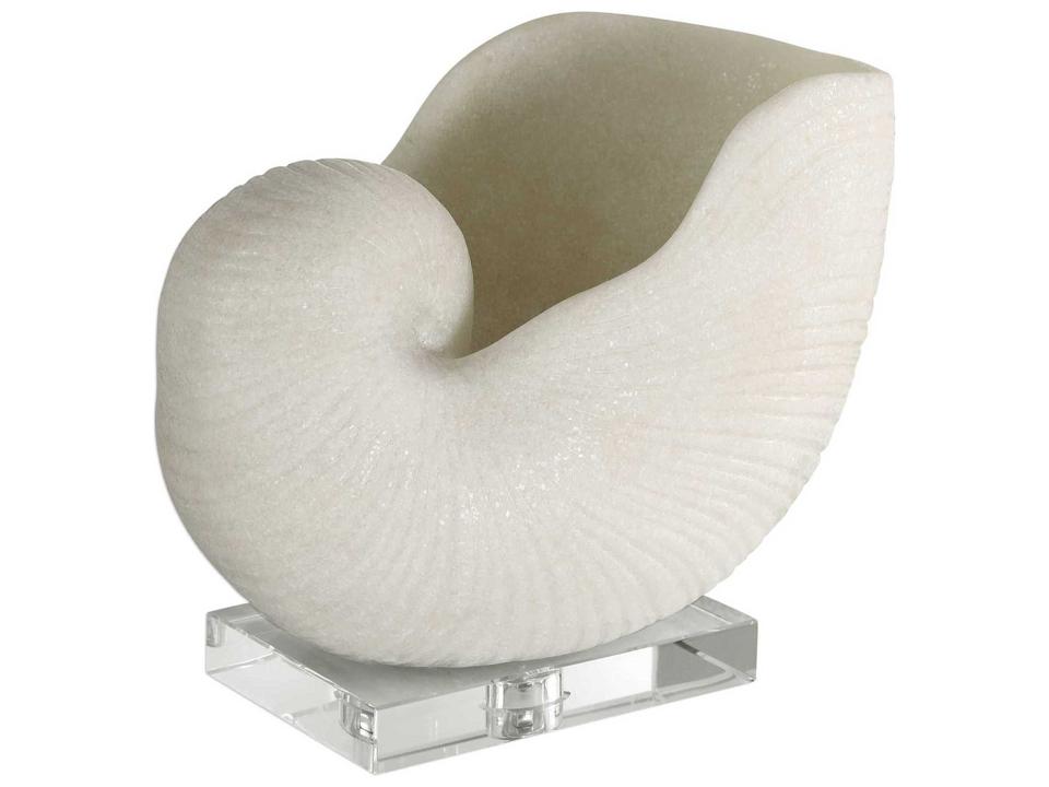Nautilus Shell