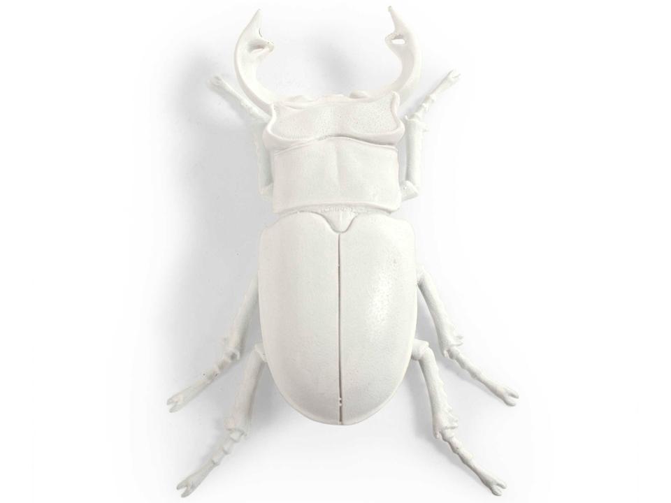 White Resin Beetle 3D Wall Art