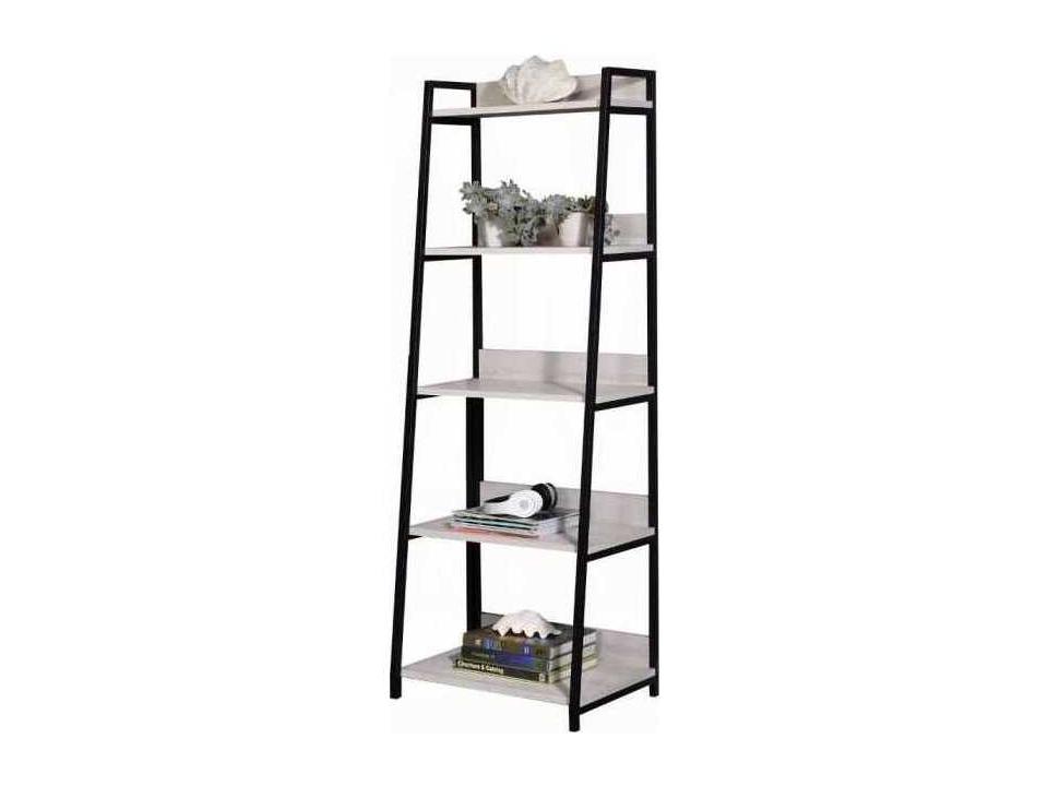 Wendral 5-Tier Leaning Ladder Bookshelf in Natural and Black
