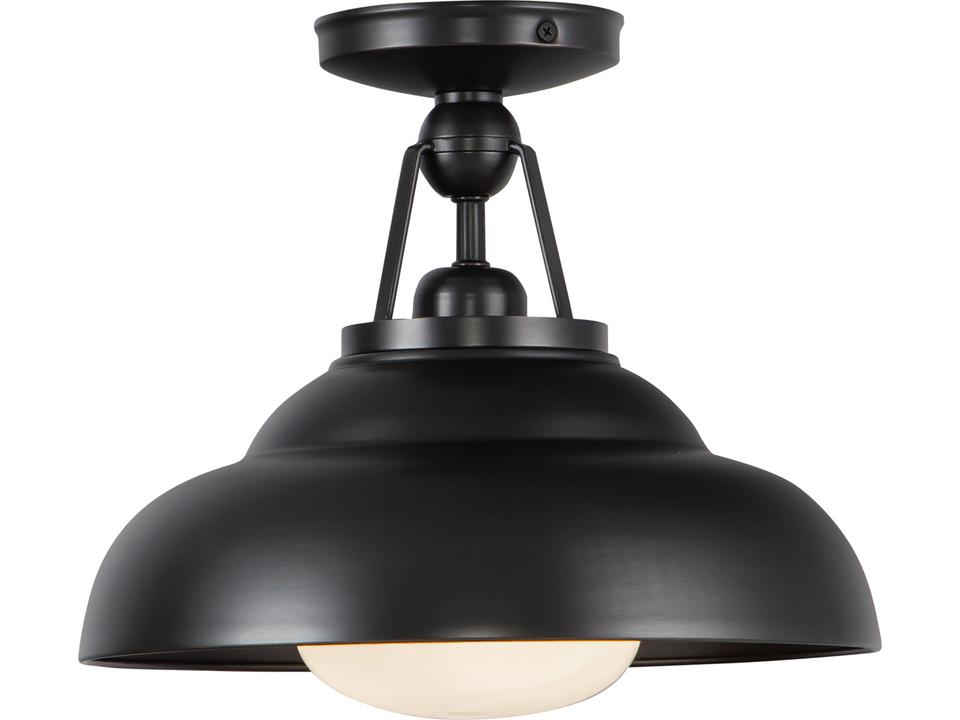 Palmetto Semi-Flush Mount Modern Ceiling Light