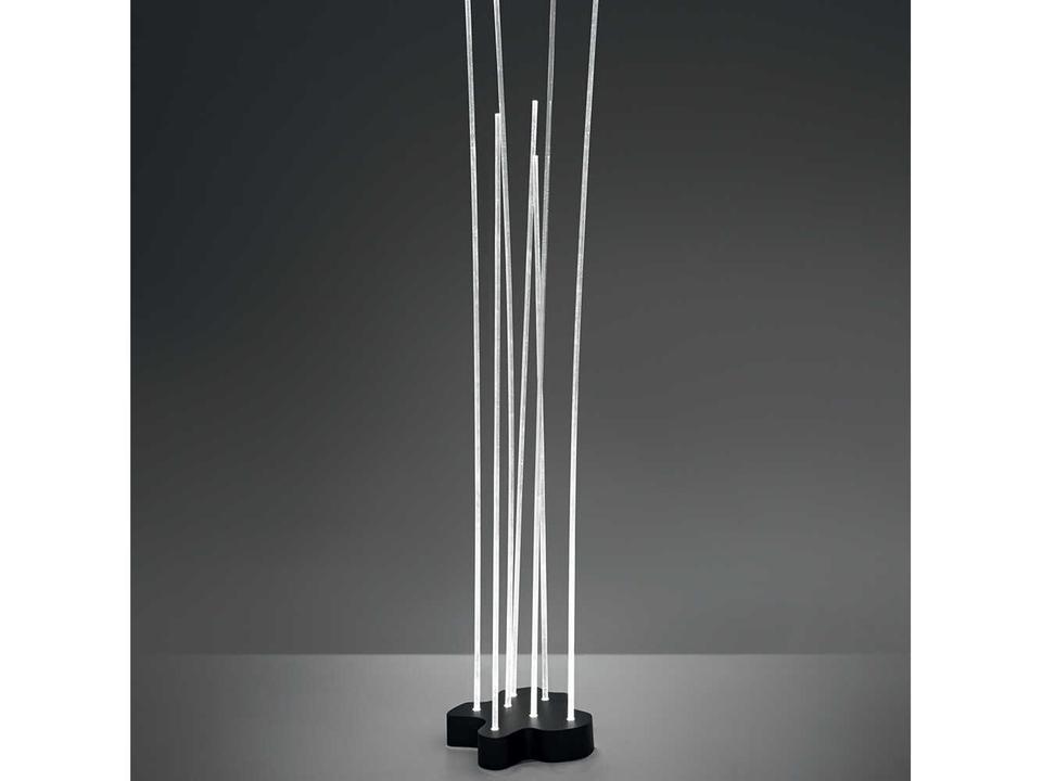 Reeds