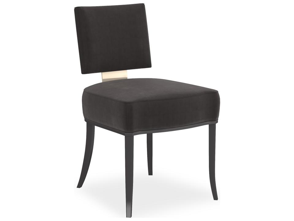 Classic Upholstered Dining Side Chair with Metal Back Plate in Seal Skin