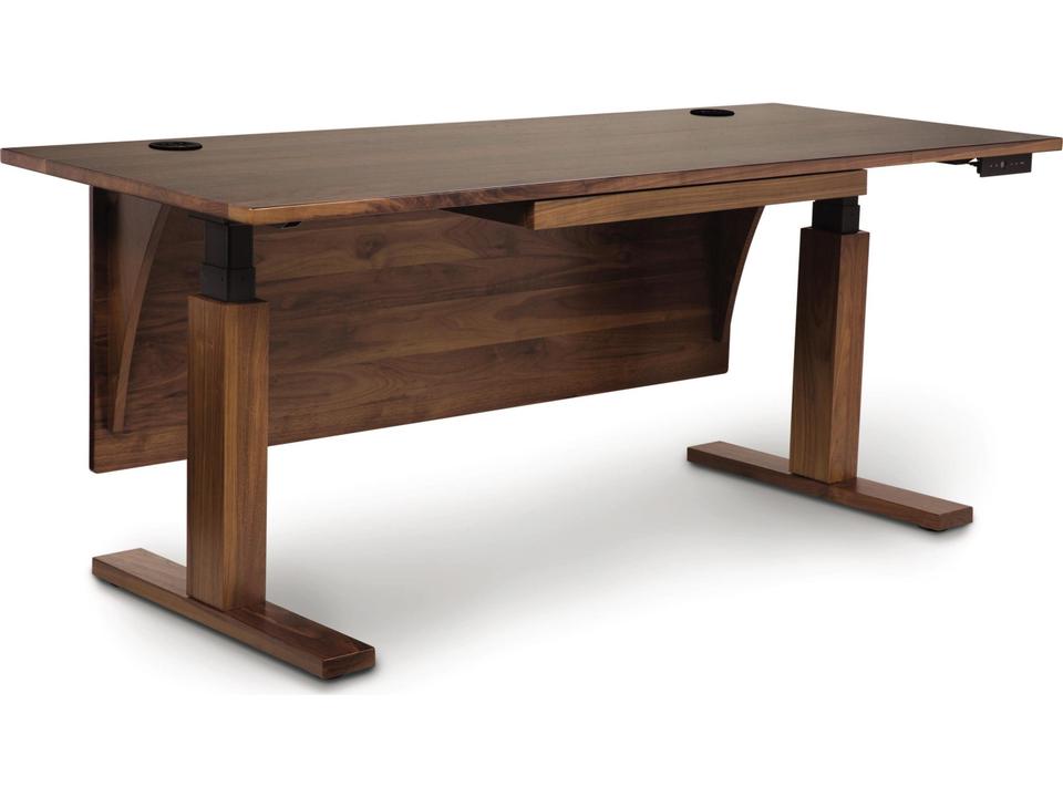 Invigo 48-Inch Rectangle Height Adjustable Desk in Brown Cherry Wood