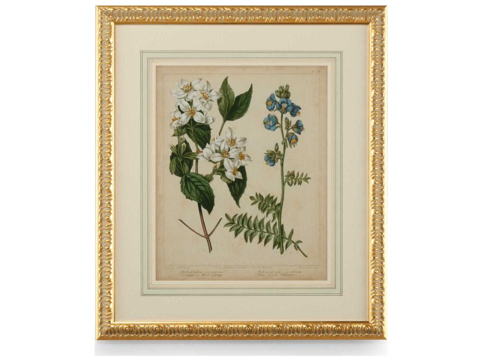 Cottage Florals I Giclee Print with Gold Frame and French Mat