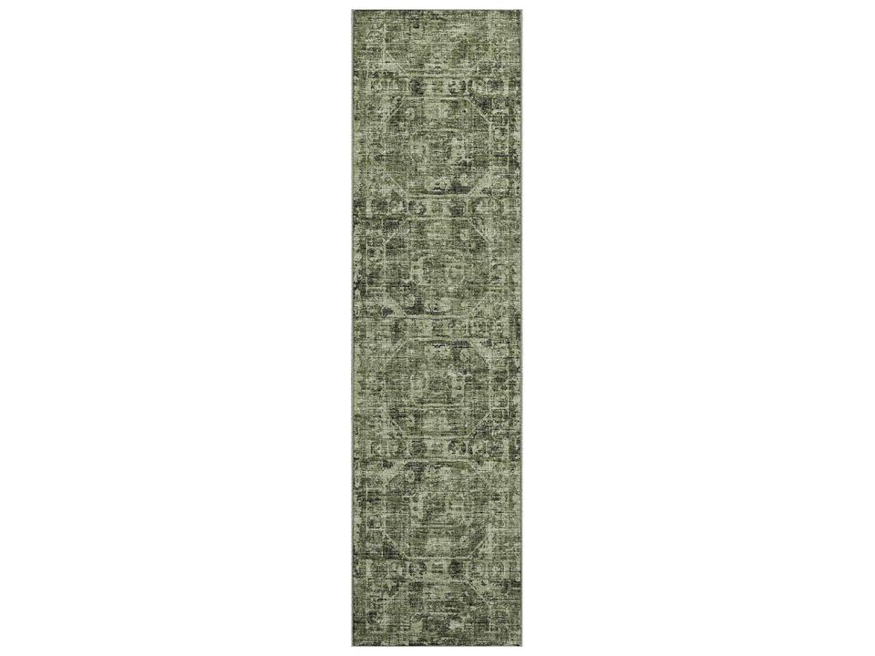 Aberdeen Cactus Transitional Indoor Outdoor Runner Area Rug