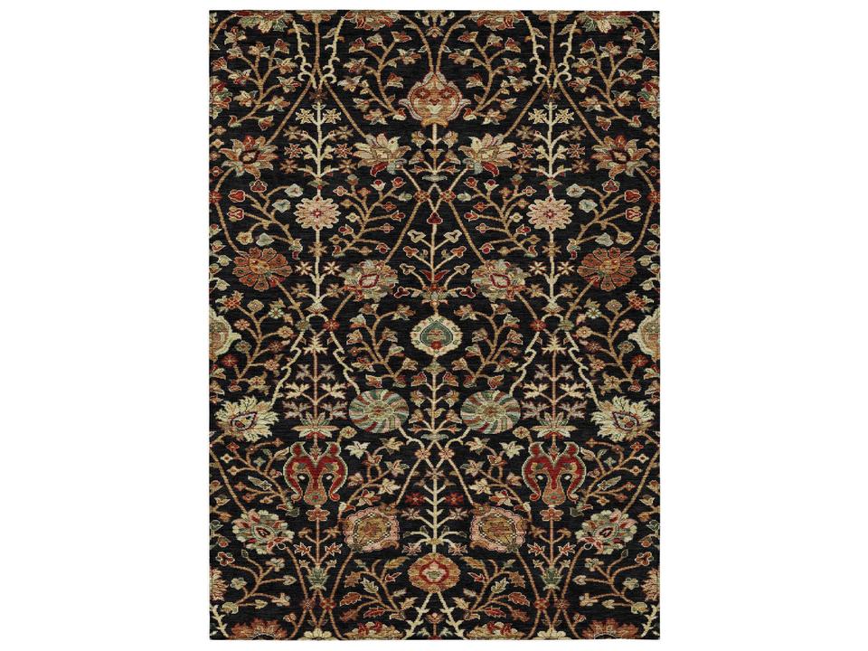 Chantille Transitional Floral Indoor Outdoor Area Rug in Black