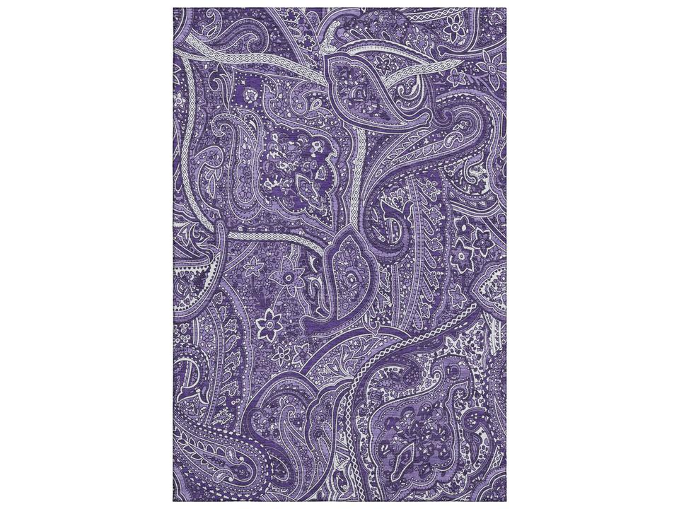 Mayfield Paisley Machine Made Transitional Area Rug