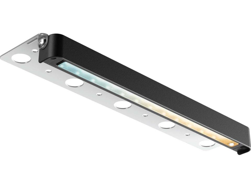 Outdoor Wall Light