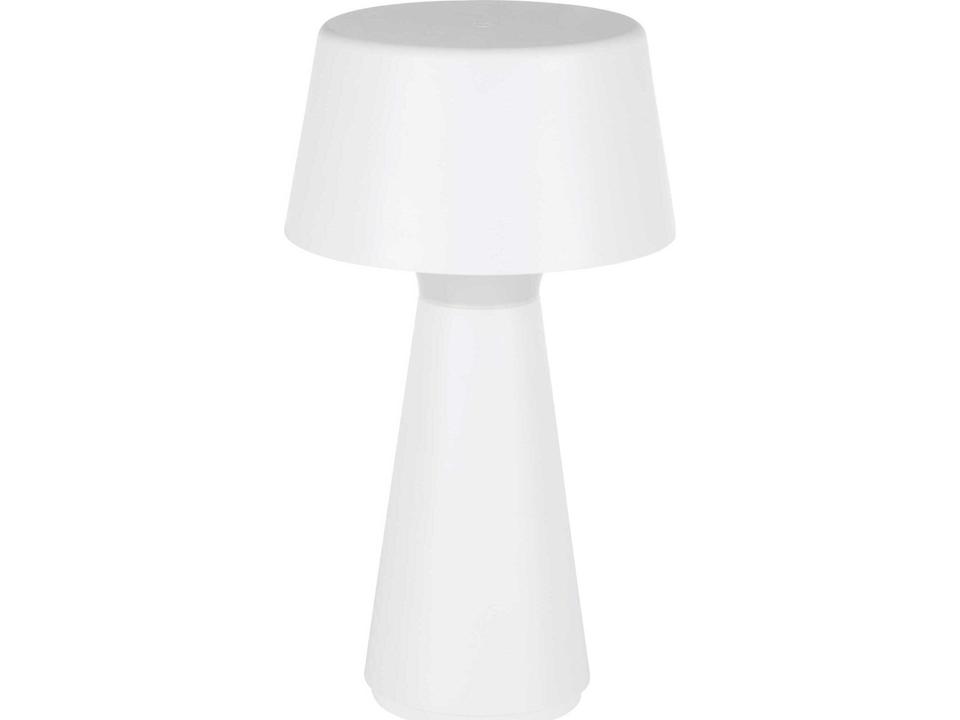 Huesa 1-Light Outdoor Lamp