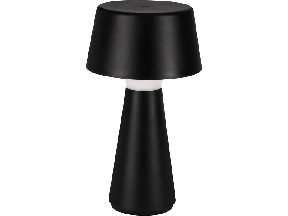 Huesa 1-Light Outdoor Lamp