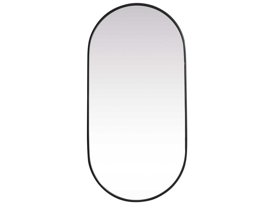 Asha 48 x 24 Inch Black Metal Oval Wall Mirror