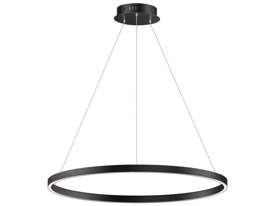 Groove 32-Inch LED Ring Pendant Light in Black