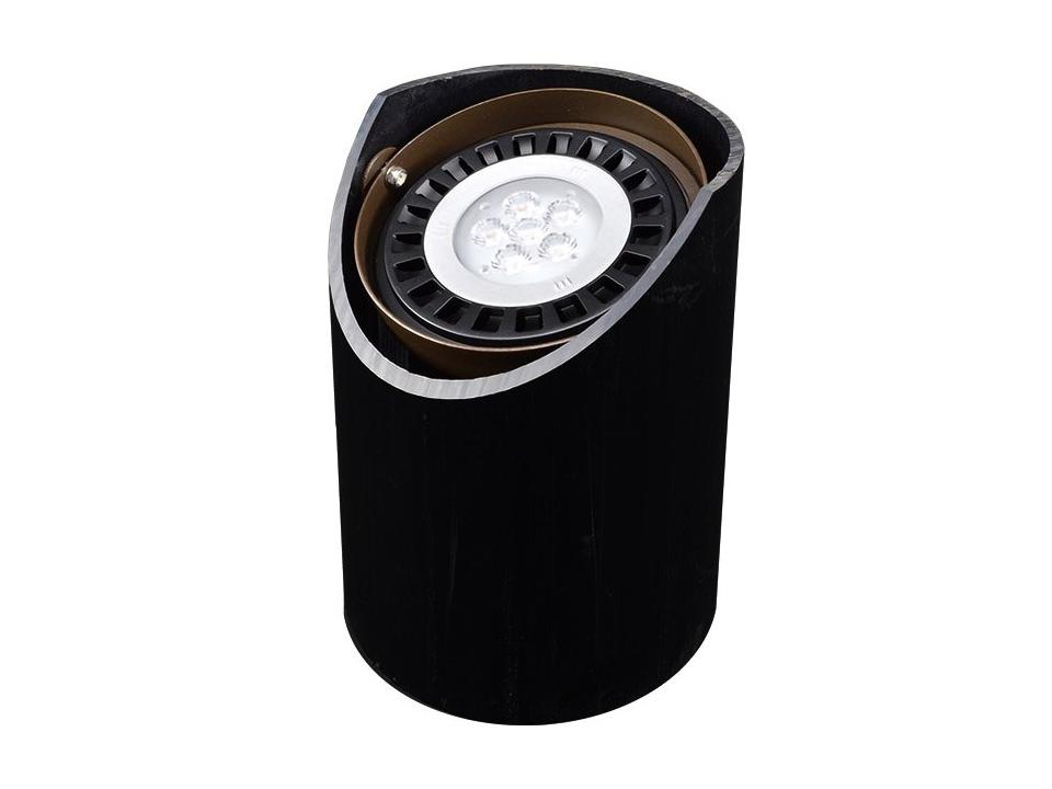 Outdoor Well Light