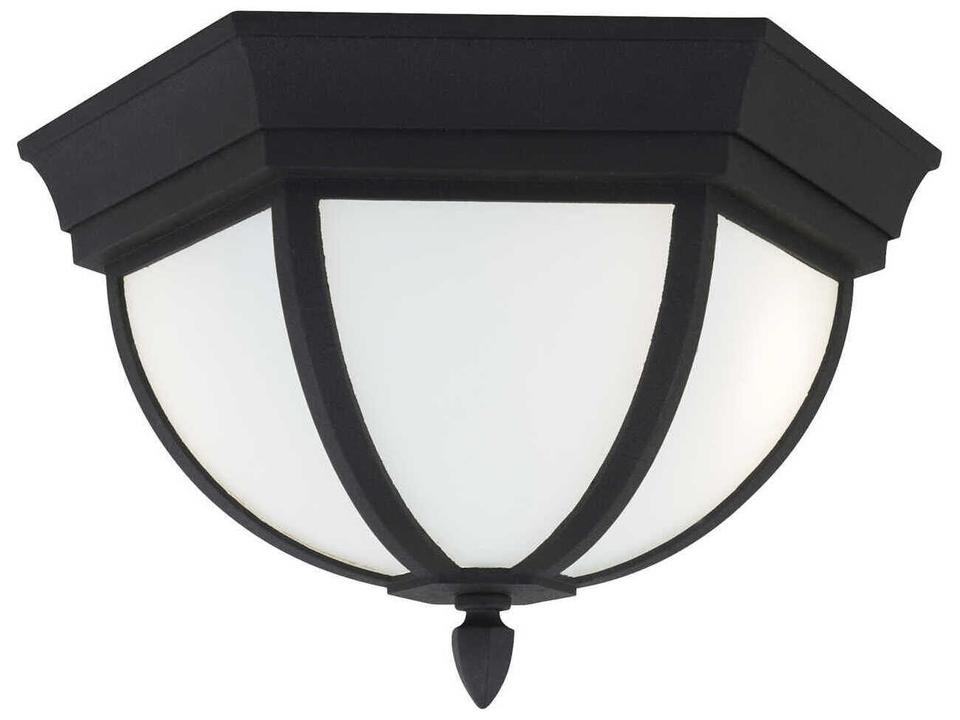 Wynfield 2-Light Outdoor Flush Mount in Black