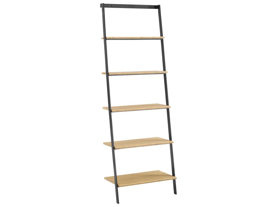 Santa Cruz Leaning Shelf Eco-Friendly Modern Bookcase
