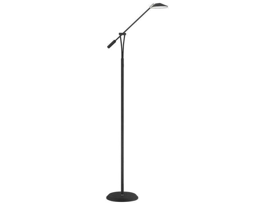 Lahoya 10W Integrated LED Floor Lamp in Black and Satin Nickel