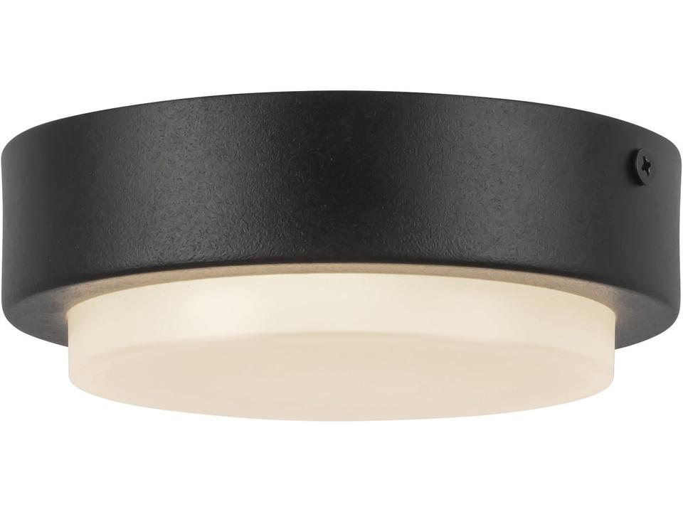 Bailey Outdoor Ceiling Light