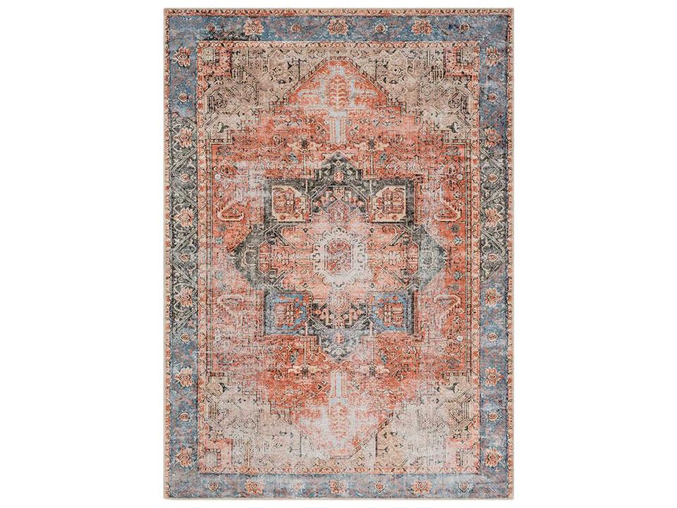 Amelie Bordered Traditional Area Rug