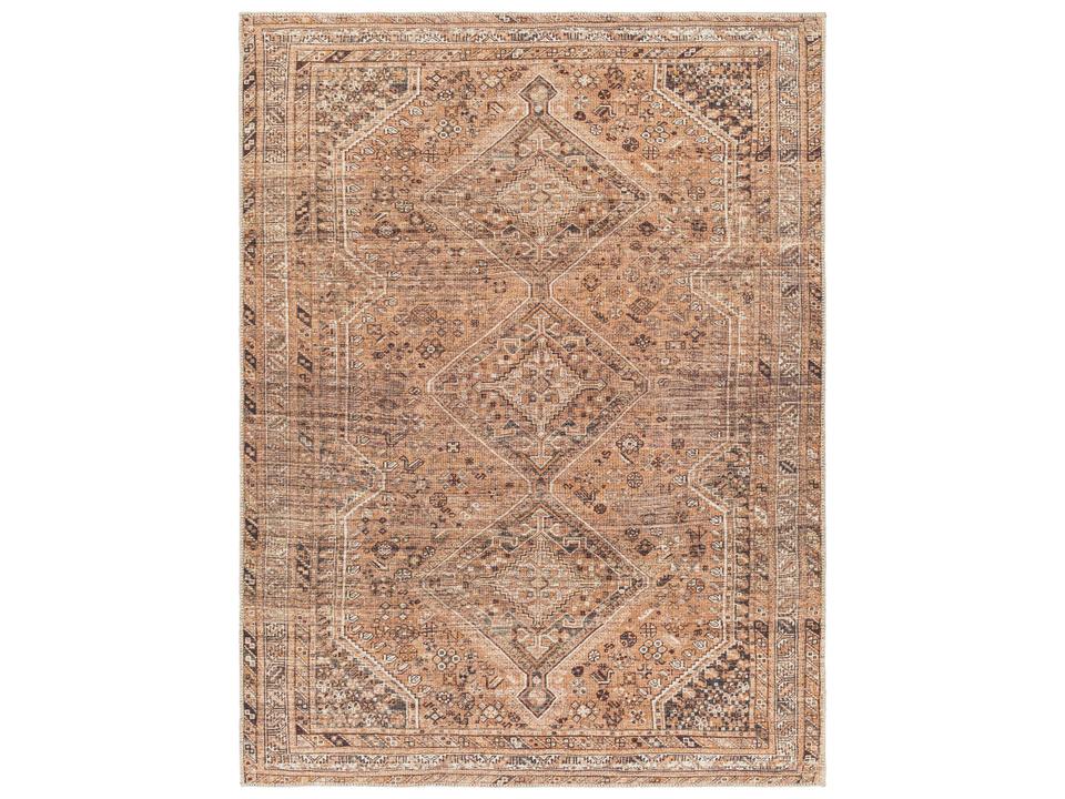 Amelie Bordered Traditional Runner Area Rug