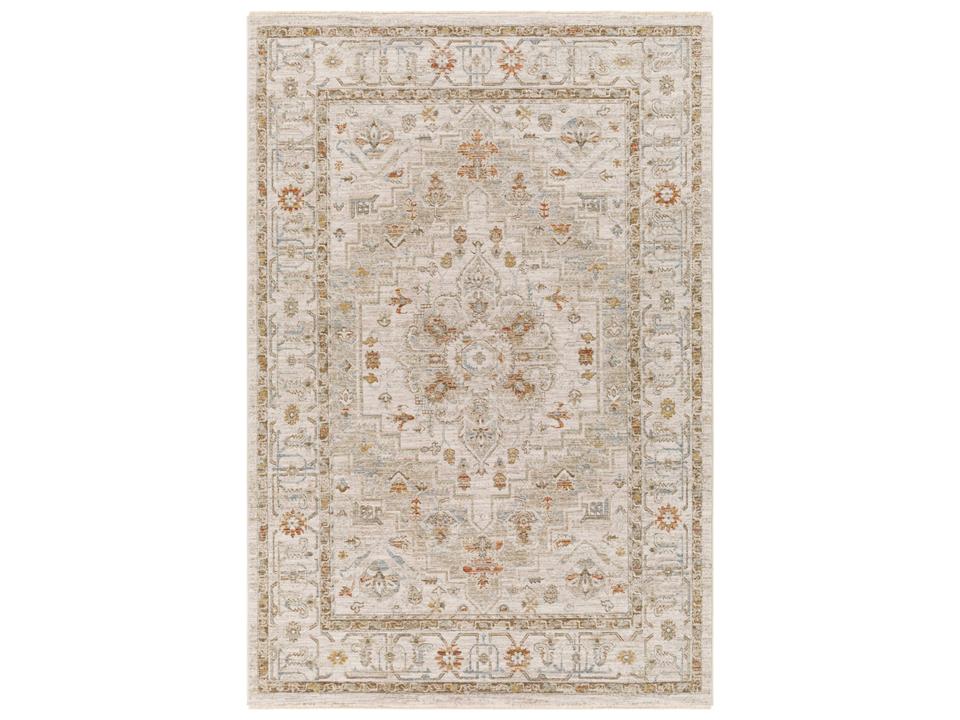 Avant Garde Bordered Traditional Area Rug