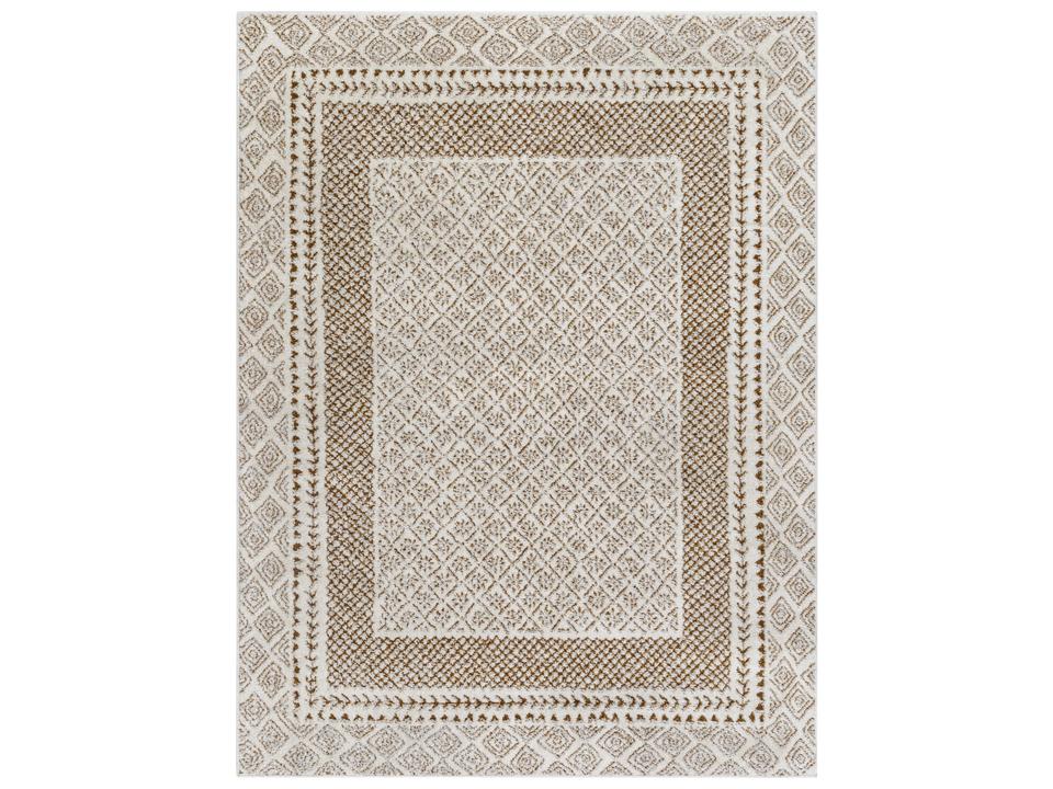 Freud Shag Bordered Area Rug in Ivory and Brown