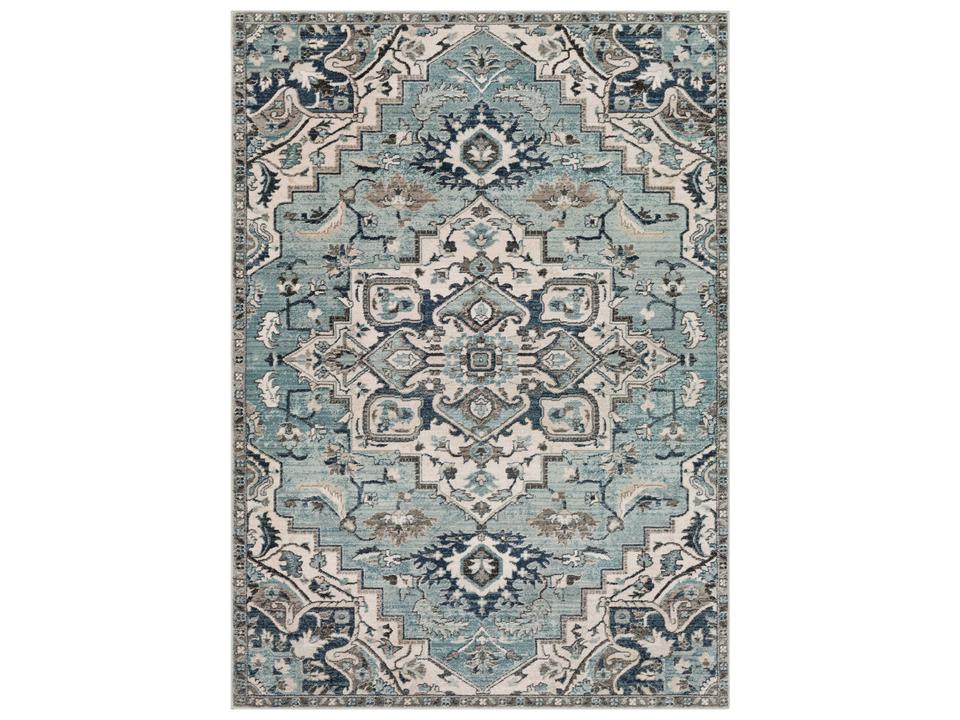 Mesopotamia Bordered Transitional Area Rug in Polypropylene