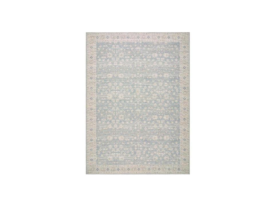 Asha Bordered Area Rug