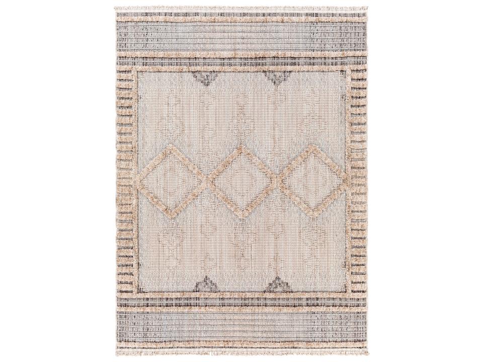 Zaragoza Global Inspired Transitional Polyester Area Rug