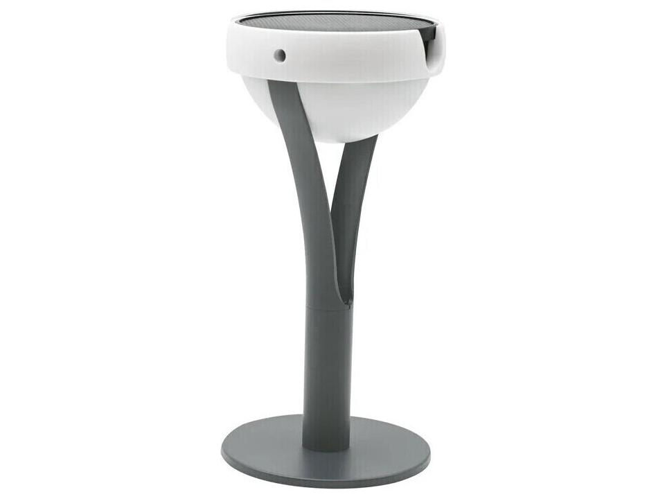 Tish 3-Light Outdoor Path Light