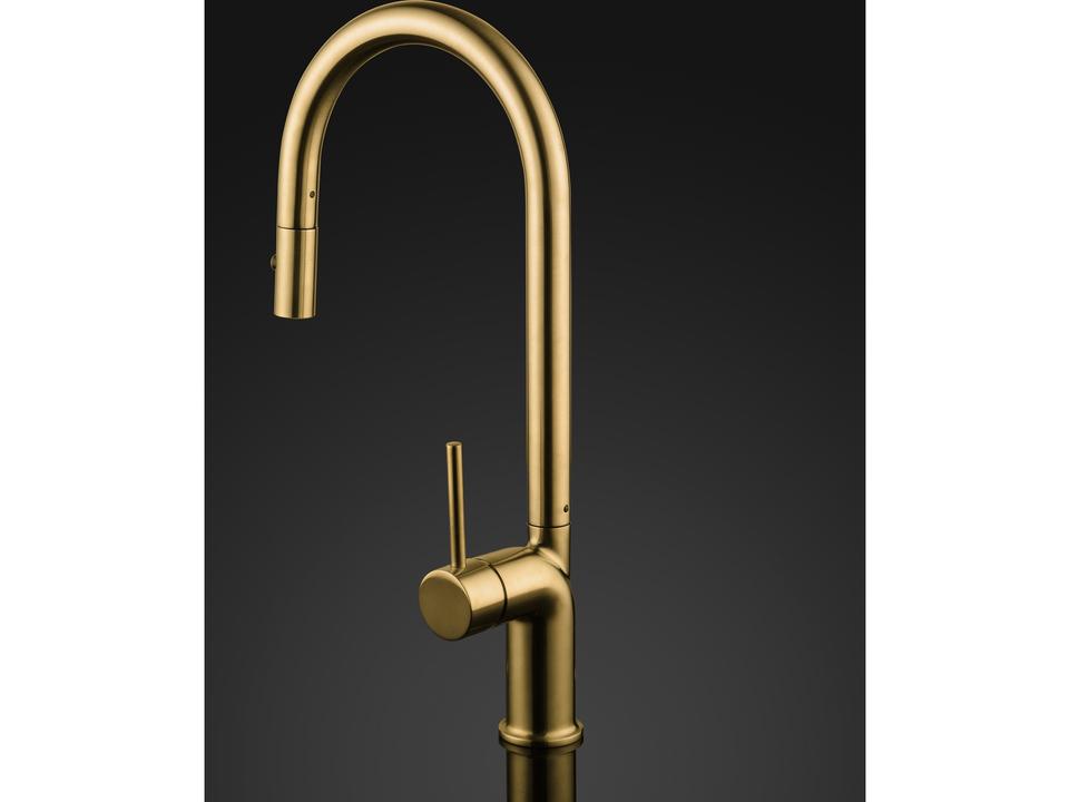 Auristella Modern Kitchen Faucet with 2 Jets  Brushed Gold