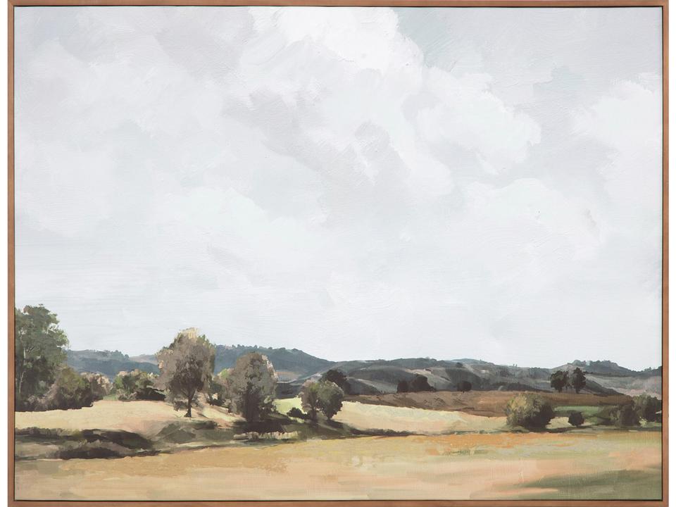 Vast Country Framed Canvas Wall Art in Multicolor