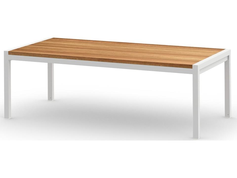 Jaydu Aluminum Rectangular Coffee Table with Teak Top
