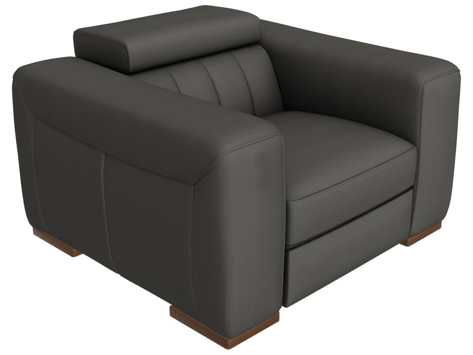 Forza Accent Chair with Electric Motion and Adjustable Headrest