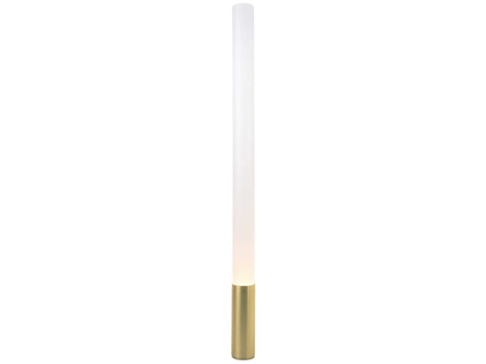 Elise 80-Inch Modern Floor Lamp with Brass Base and PMMA Diffuser