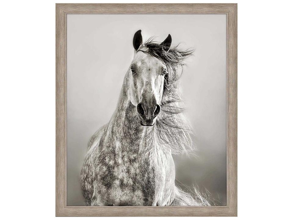 Animals Caballo de Andaluz Framed Wall Art with Distressed Silver Frame