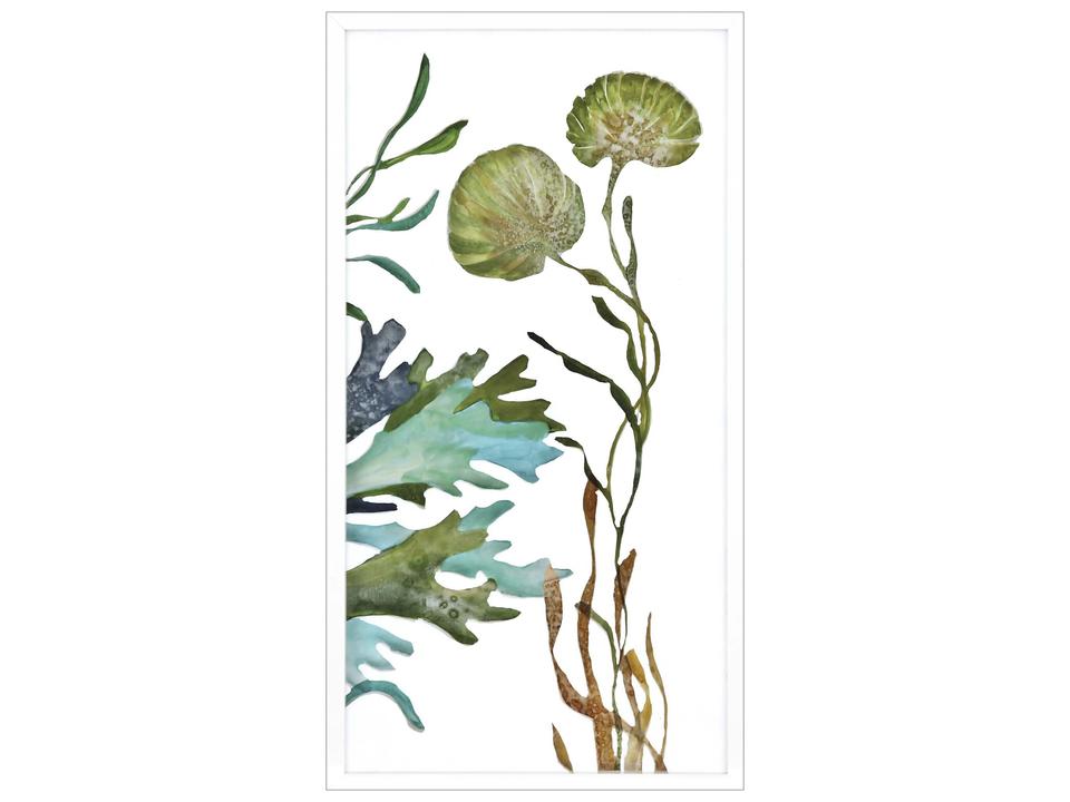 Underwater Living III Framed Art with Lacquered White Shadow Box Frame
