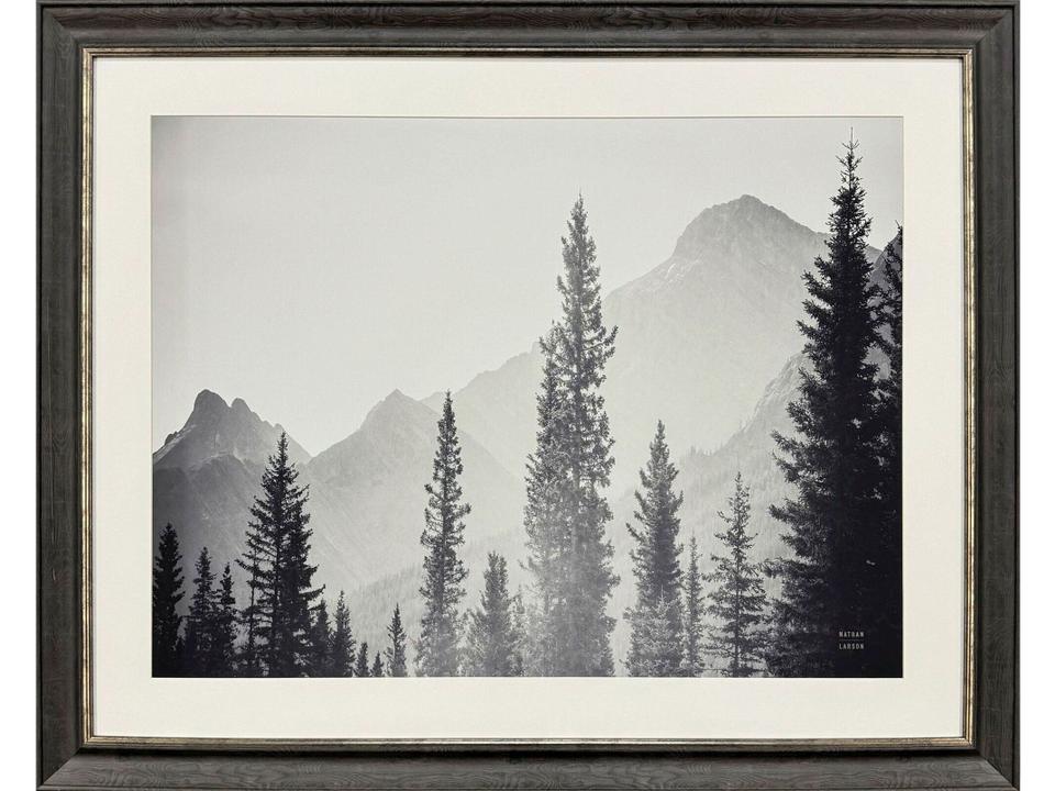 Kanaskis Country Framed Art with Glass and Espresso Wood-Grain Frame