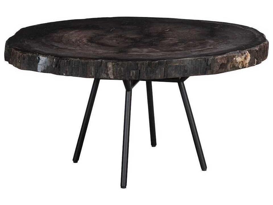 Elements Petrified Wood and Metal Coffee Table