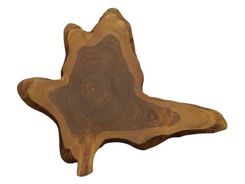 Freeform Natural Teak Wall Slice Organic Wood Wall Art