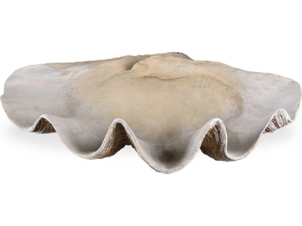 Clam Shell Decorative Bowl in Antique White