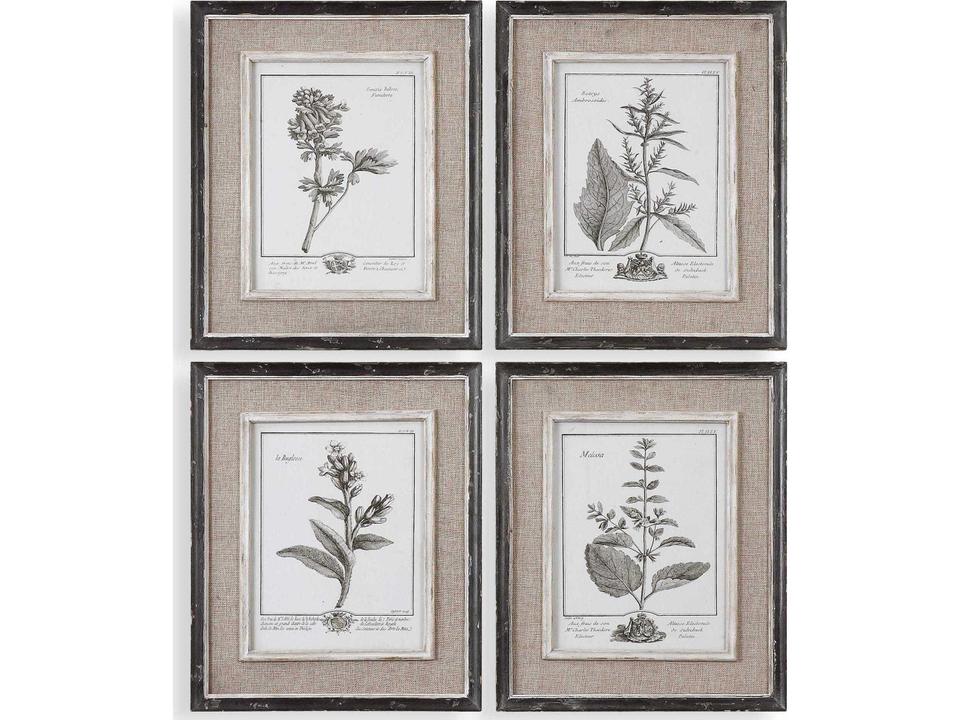 Casual Grey Study Framed Botanical Wall Art Set of 4
