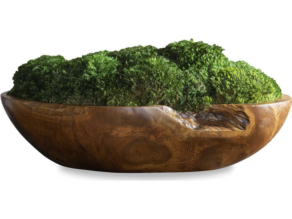 Kinsale Moss Centerpiece in Natural Teak Wood Bowl