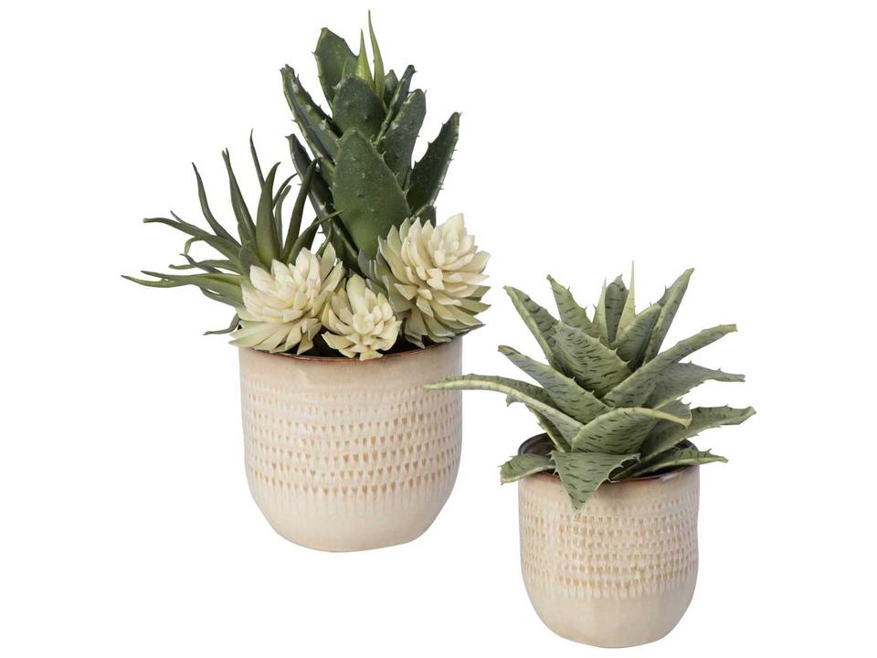 Seaside Succulents Artificial Plant Set in Neutral Tan Ceramic Planters