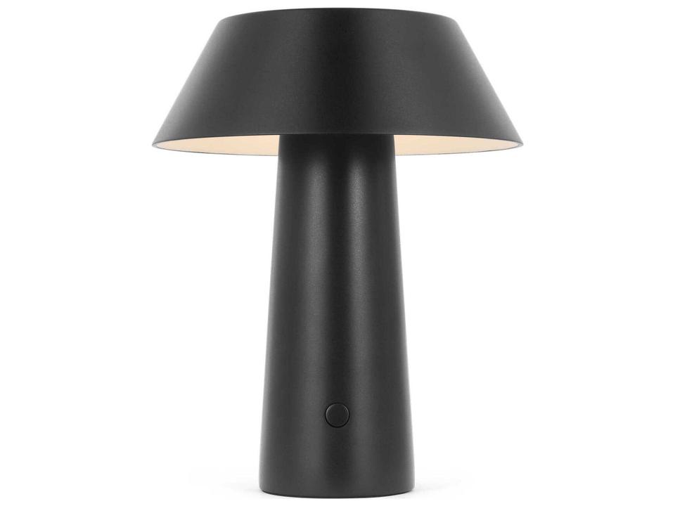 Sesa 1-Light Outdoor Lamp